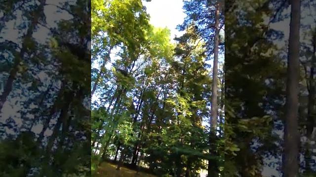 Что-то держит на земле, может крона или корни смотреть онлайн