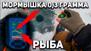 Практик 8. Как эхолот видит очень маленькую мормышку и рыбу