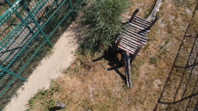 В зоопарке Белгорода. смотреть онлайн