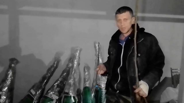 Лучшие Саженцы Грецкого ореха в России. смотреть онлайн