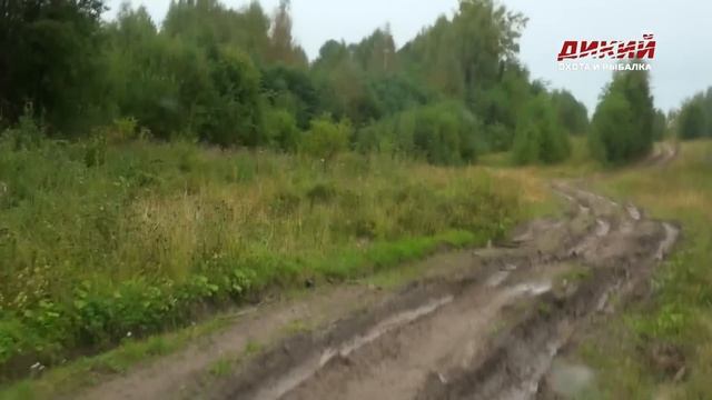 На медведя на овсах. Охота на Русском Севере. смотреть онлайн