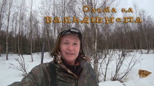 Весенняя охота на вальдшнепа. Четыре вечерки.