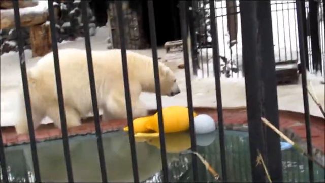 Ростик проголодался 10.12.17 смотреть онлайн