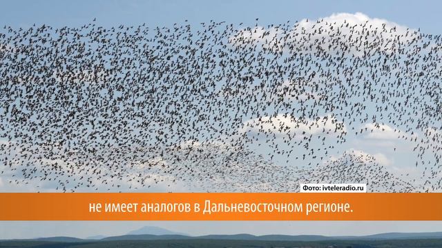 Что находится в самой южной части Камчатки? смотреть онлайн
