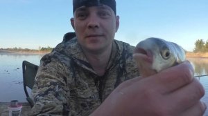 ОГРОМНЫЙ ЛЕЩ НА УДОЧКУ. ЛОВЛЯ ВЕСНОЙ НА ОЗЕРЕ НА ПОПЛАВОК С БЕРЕГА МИРНОЙ РЫБЫ