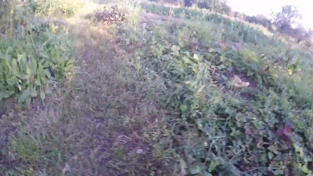 Выживание на даче. Первая часть смотреть онлайн