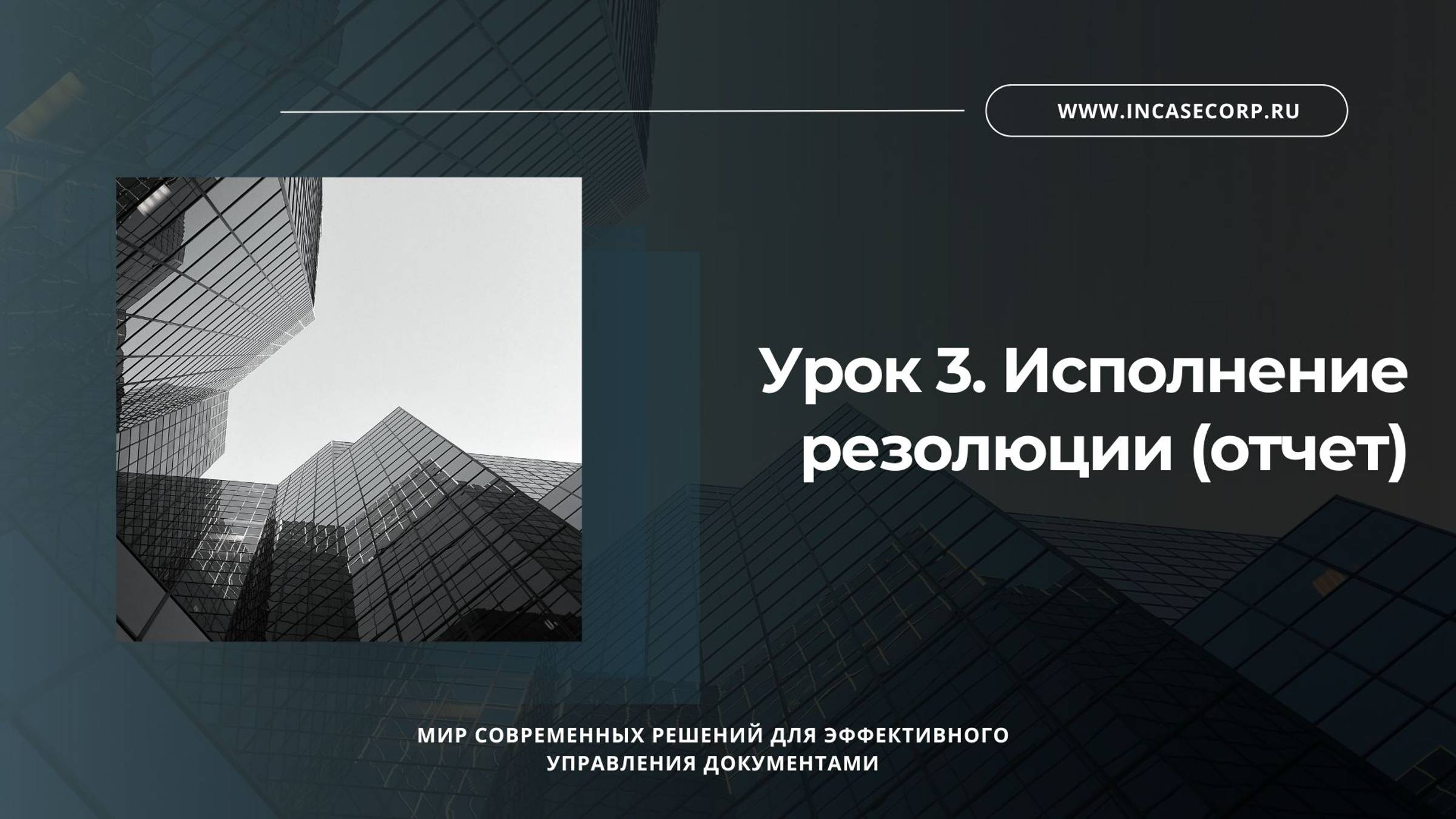 Урок 3. Исполнение резолюции (отчет)