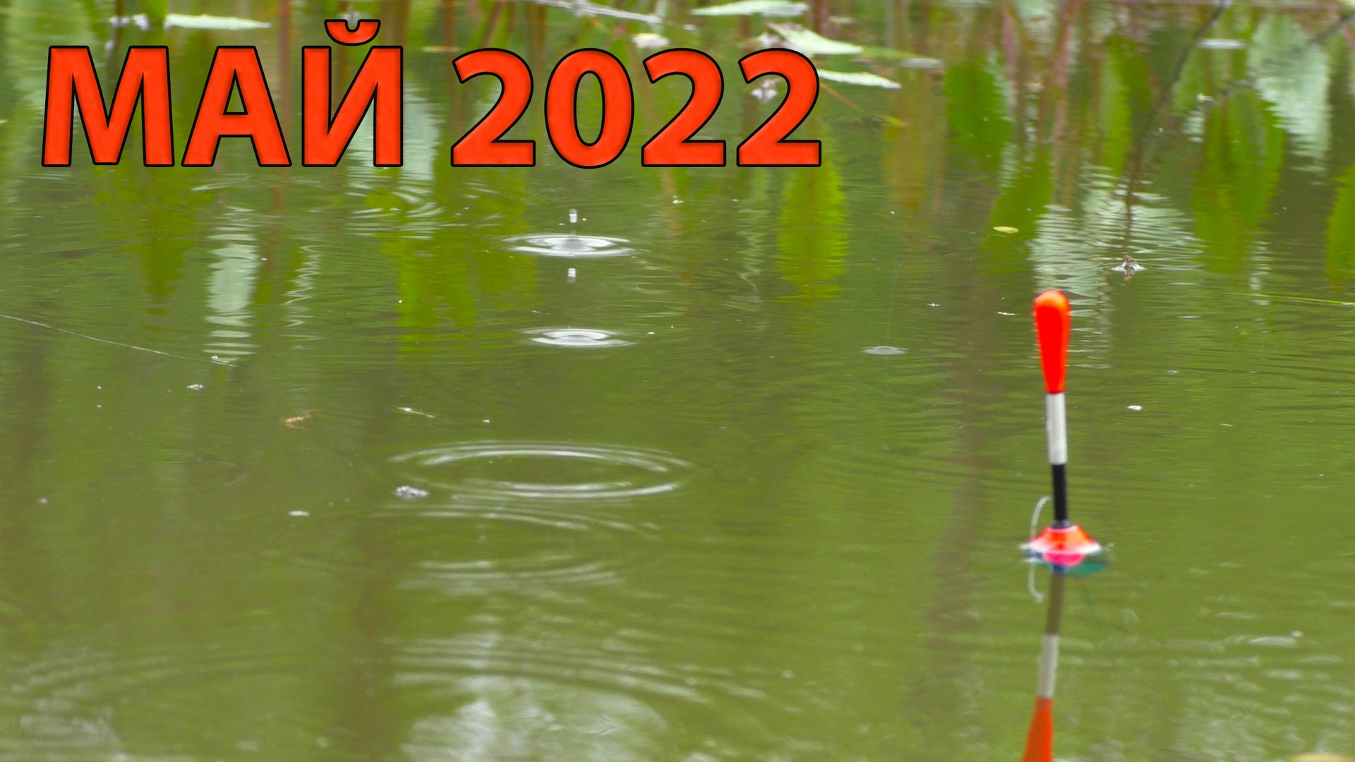 РЫБАЛКА НА ПОПЛАВОК на деревенском пруду маховой удочкой. смотреть онлайн