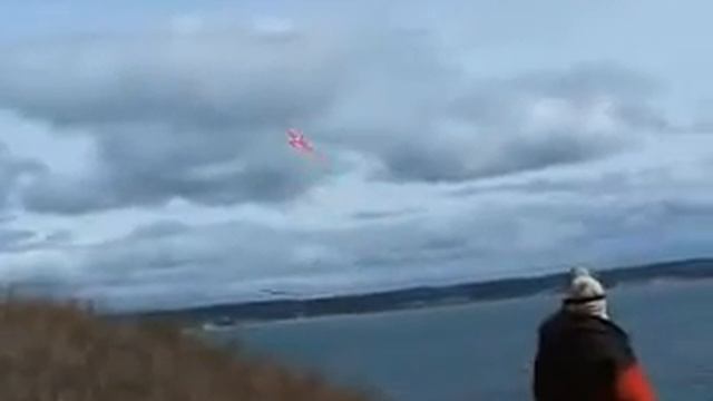 Орел перехватывает игрушечный беспилотник))) смотреть онлайн