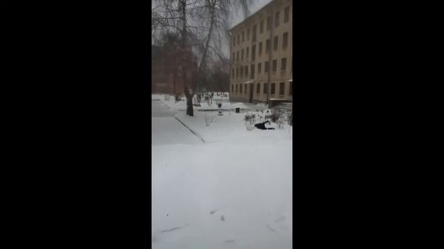 Мальчик по срал под ёлку смотреть онлайн