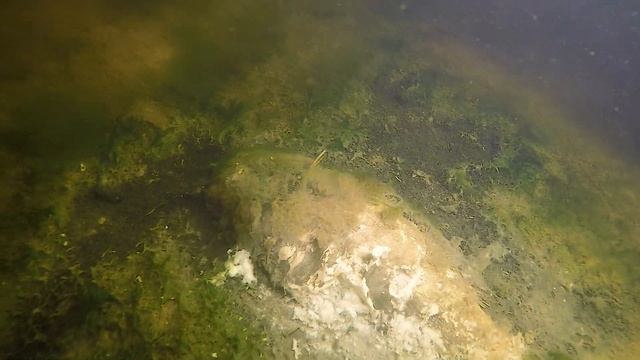 Дайвинг на карьере Гайдуковка. Дайвинг в Беларуси.