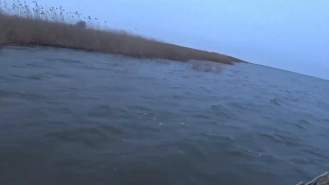 Утиная Охота в Темрюкских лиманах январь 2022г.