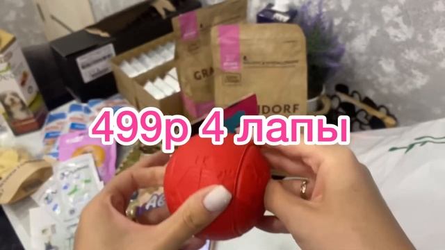 VLOG:ПОКУПКИ ДЛЯ СОБАК НА 10тыс| ЧЕМ Я КОРМЛЮ КОРГИ,Шпица и Йорков? Игрушки,пелёнки !❤️ смотреть онлайн