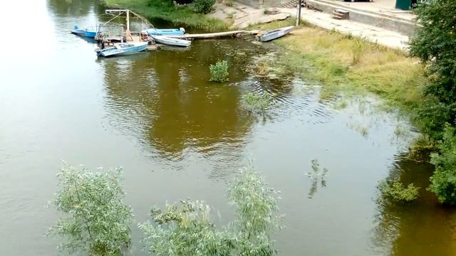 водоплавающий сторож смотреть онлайн