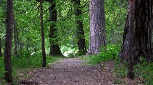 БЛАГОСЛОВИ ДУШЕ МОЯ ГОСПОДА