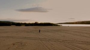 Вороны Москвички