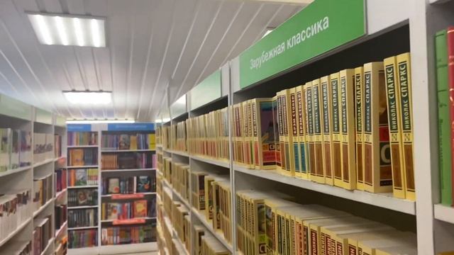ДОЖДЛИВЫЙ ВЛОГ: читаю «лисью нору» и «хоббита», иду в книжный, рисую картину, показываю новый уход смотреть онлайн