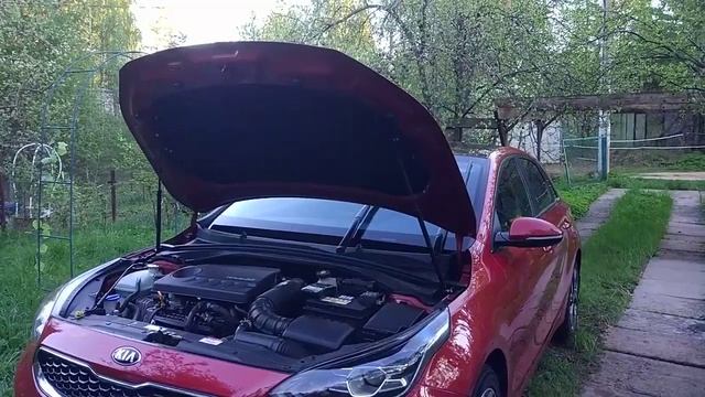Газовые упоры капота Kia Ceed 2018 смотреть онлайн