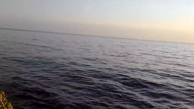 Каспийское море лето 2015 год смотреть онлайн