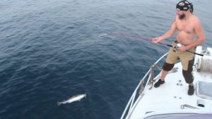 Ловим треску на банке Зубра