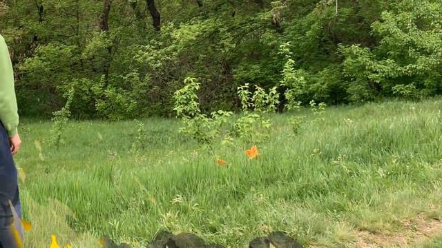 Короче говоря, 24 ЧАСА пауза ЧЕЛЛЕНДЖ! Зачем Чебурек ПОСТАВИЛ Папу и Марка на ПАУЗУ? смотреть онлайн