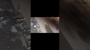 Kia spectra замена передних тормозных колодок