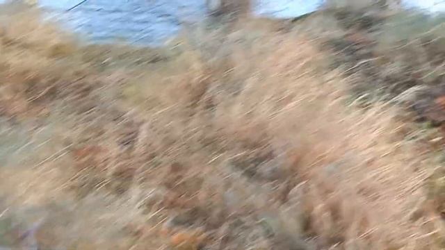 На 4 Дня За Белой Рыбой, На Избу.((Часть 1))Советуем его Посмотреть. смотреть онлайн