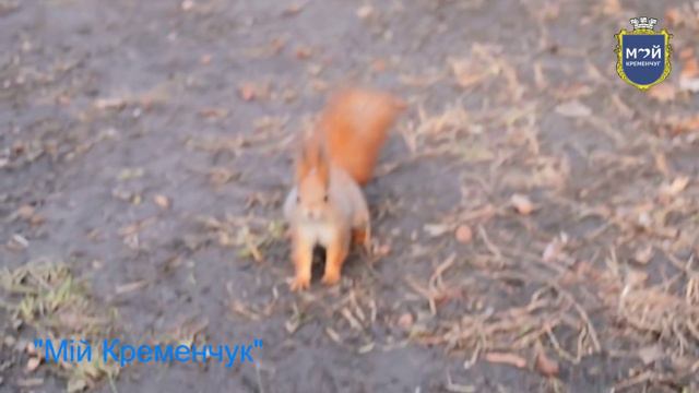 Мой Кременчуг 2015 год смотреть онлайн