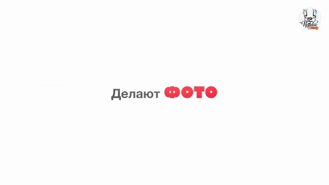 Paradox Project. Плясовы ушли в отрыв смотреть онлайн