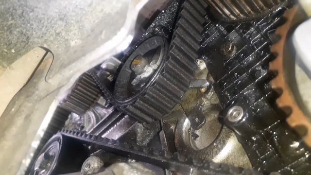 Vazamento De óleo E Surpresa Na Correia Dentada, EW10A 2.0 16v