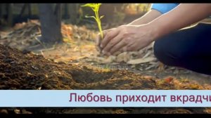 Начать бы всё сначала нам - Музыка Виктора Хоборова, слова Натальи Бабочкиной.