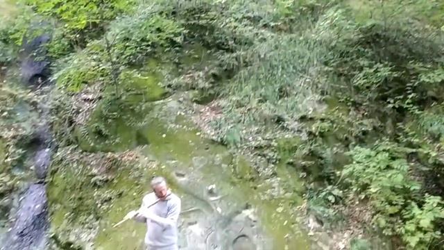 Волшебная игра на флейте в лесу в горах | Magic game on flute in the forest in the mountains смотреть онлайн