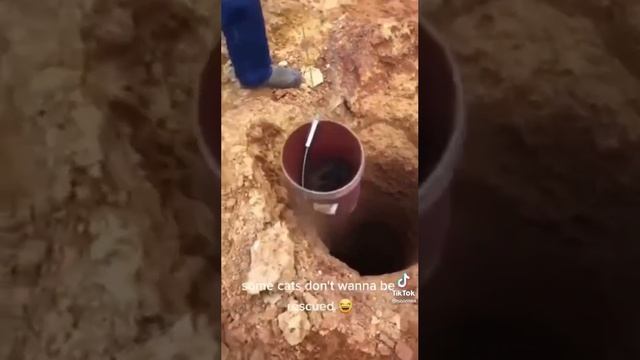 Колодец смотреть онлайн