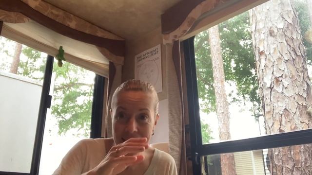Части Речи в Английском Языке @RUSGLISH смотреть онлайн
