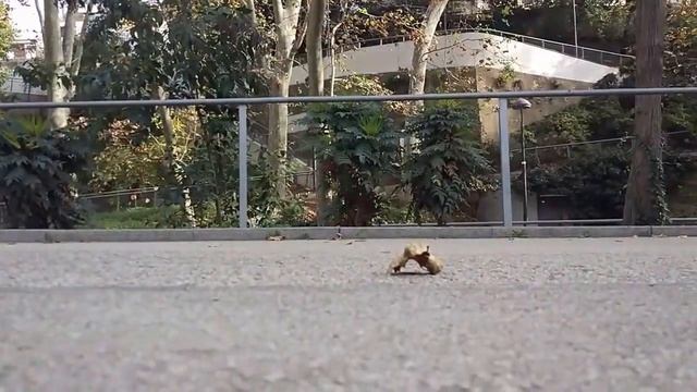 Hoverboard Sabway S6 - www.sabway.es смотреть онлайн