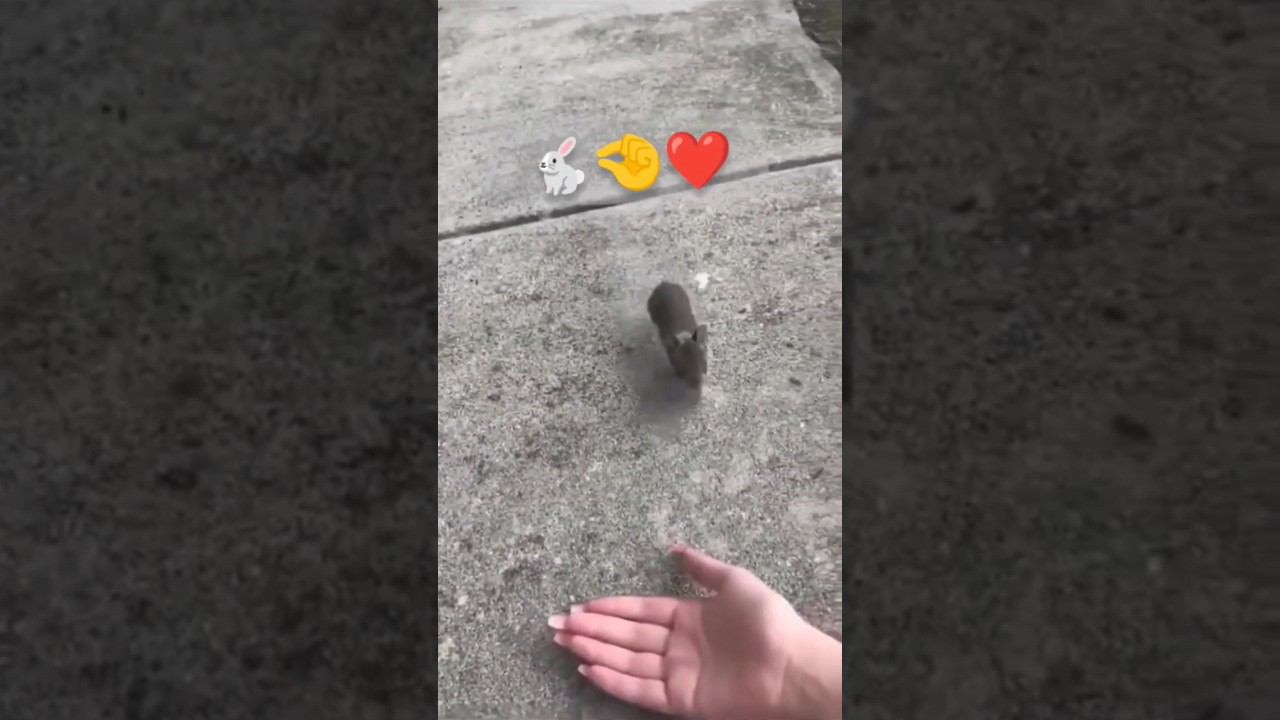 Хочу на ручки ❤️ I want to arms смотреть онлайн