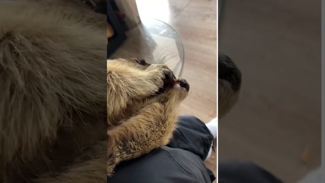 Друзья! Не стал удалять предыдущее видео... это с LP смотреть онлайн