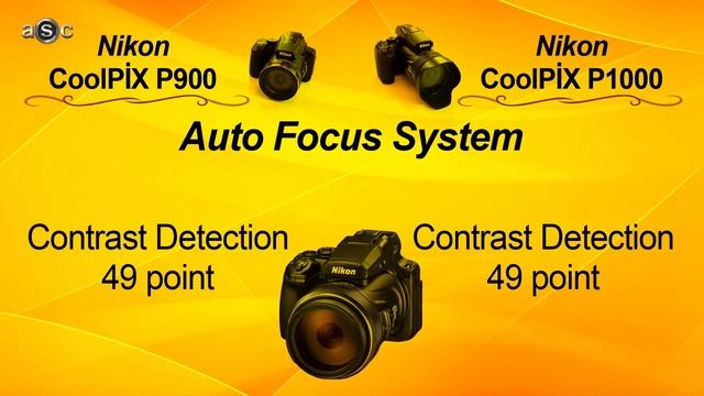 Nikon P900 VS P1000