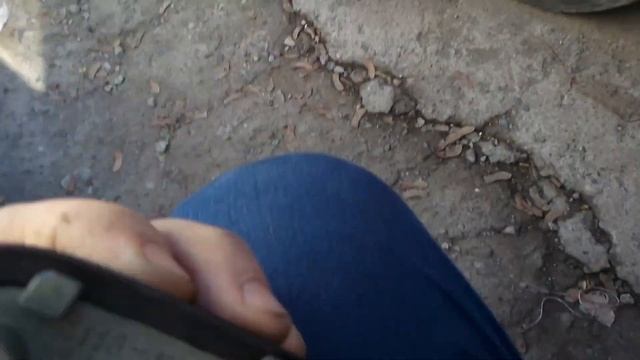 Строительный Фокус