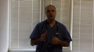 Лечение ушного клеща у кошек и собак проверенная схема