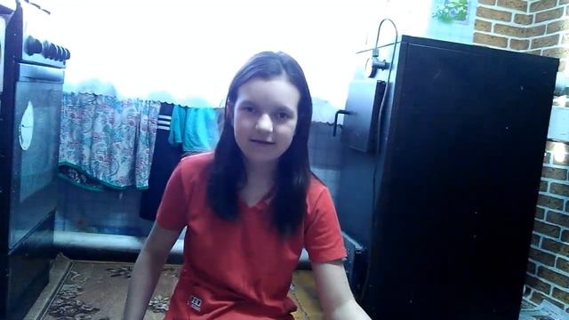 Кошачий обед. Новый котенок Персик, Сиам и кошка Эксперт обедают кормом 