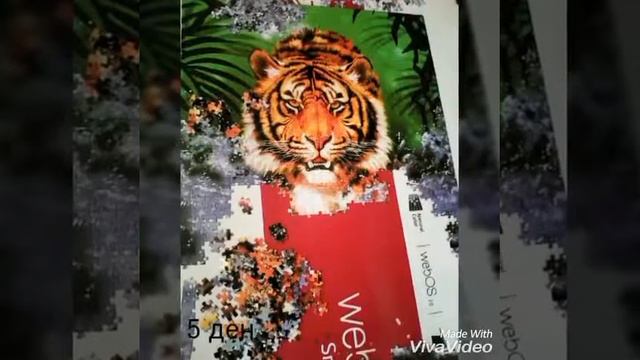 Тигр из 1000 пазлов смотреть онлайн