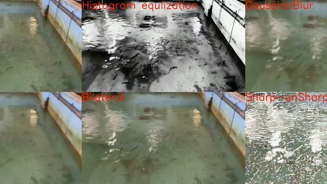Python - Multiple Filter - Demo(OpenCV) смотреть онлайн