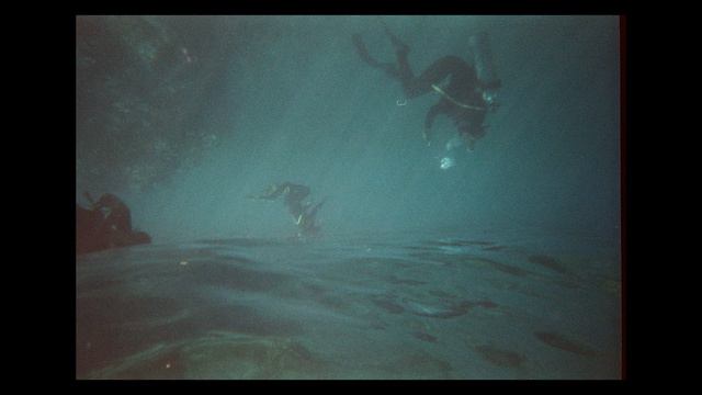Bliss Bunnies - Forgiveness (Official Audio) смотреть онлайн