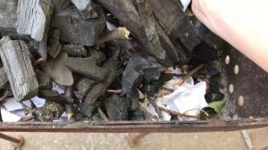 Как распалить УГОЛЬ для шашлыка без расжижки. Как разжечь мангал