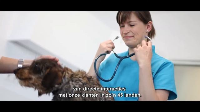 ZOETIS zaventem site смотреть онлайн