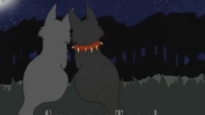 «Культ тела» Бич+Уголёк — Шип Клип 'Коты-Воители'.