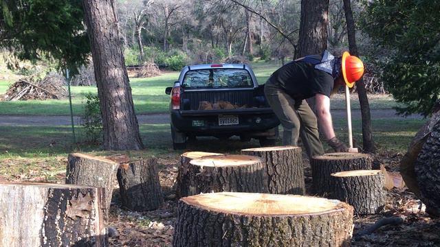 Splitting California Black Oak Part 1 смотреть онлайн