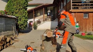 STIHL MS 162 vs. STIHL MS 170 ??