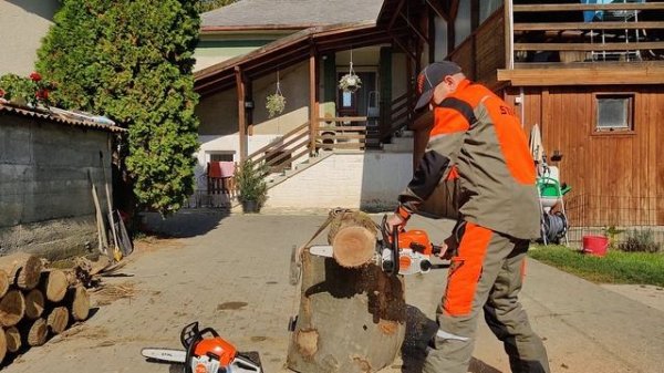 STIHL MS 162 vs. STIHL MS 170 ??